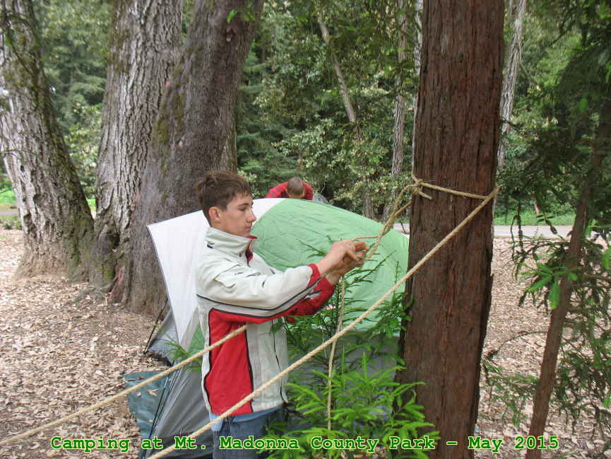 Picture 0011