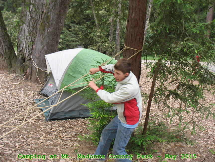 Picture 0013