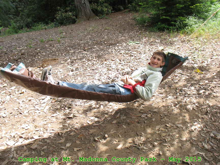 Picture 0015