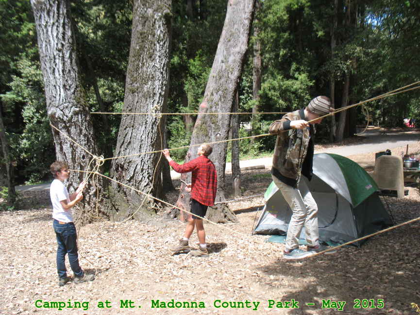 Picture 0017