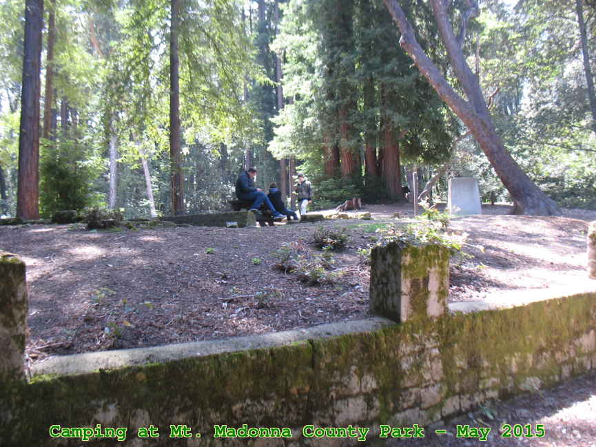 Picture 0024
