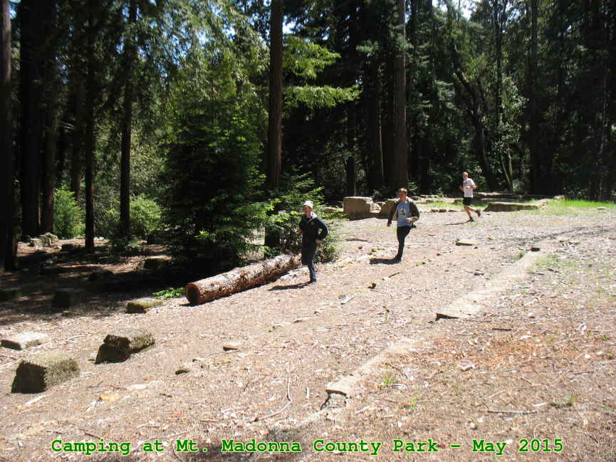 Picture 0025