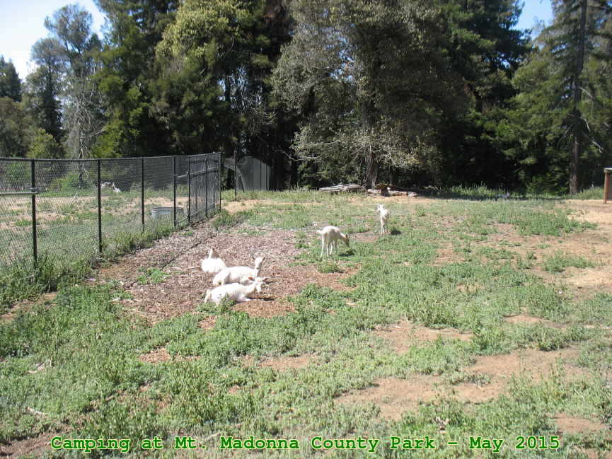 Picture 0026