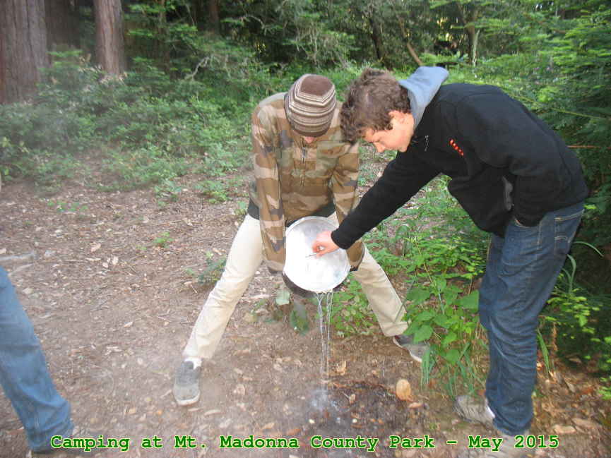 Picture 0029