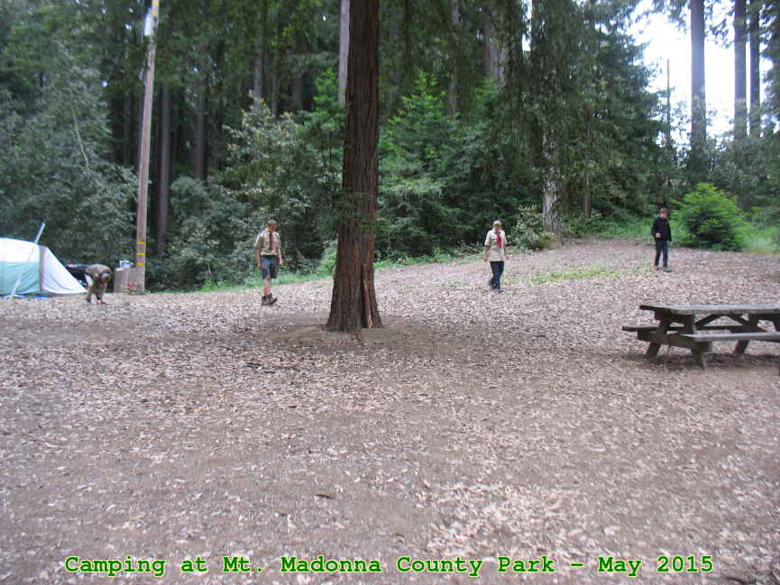 Picture 0034