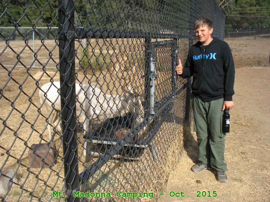 Picture 0004