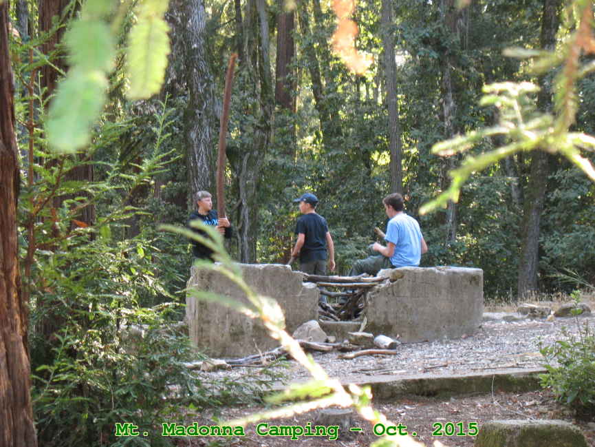 Picture 0005