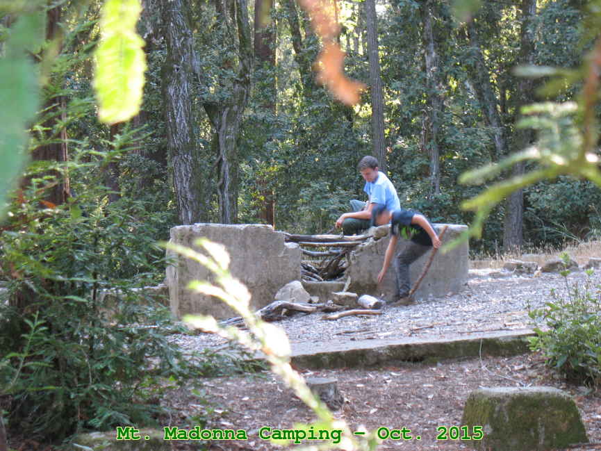 Picture 0006