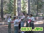 Picture 0037