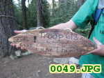 Picture 0049
