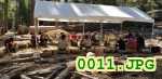 Picture 0011