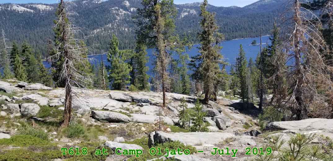Picture 0134