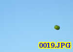 Picture 0019