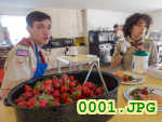 Picture 0001