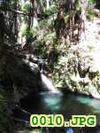 Picture 0010