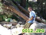 Picture 0012