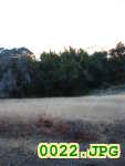 Picture 0022