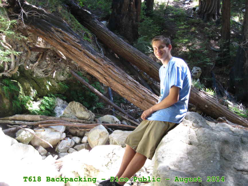 Picture 0012