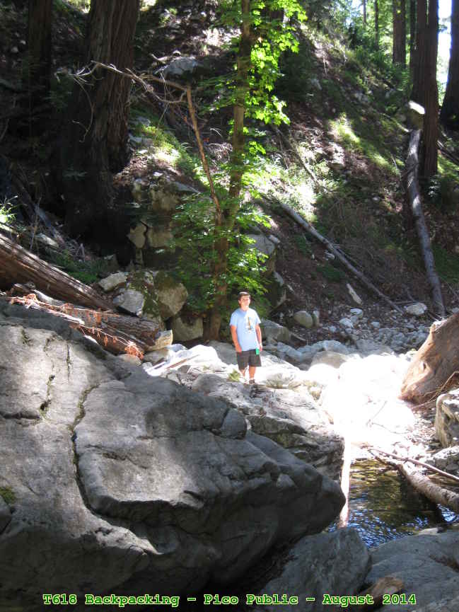 Picture 0015