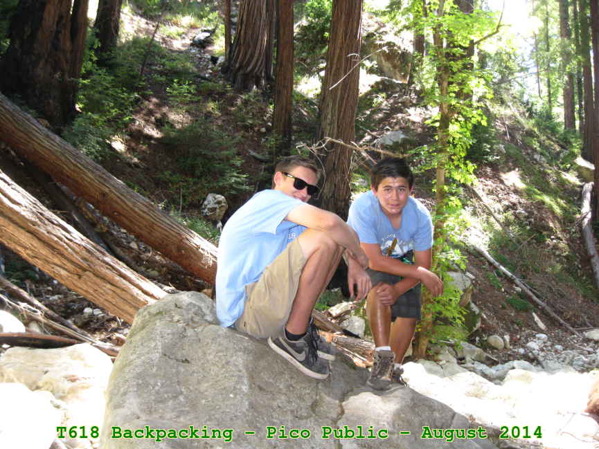 Picture 0016