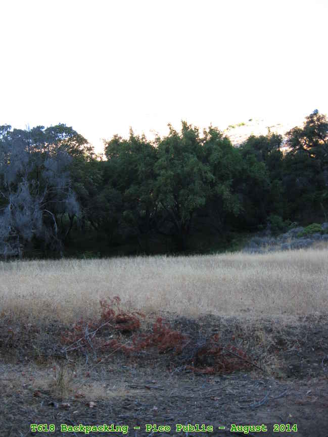 Picture 0022