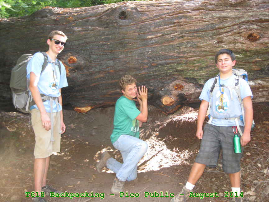 Picture 0023