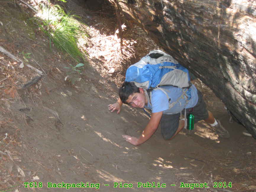 Picture 0024