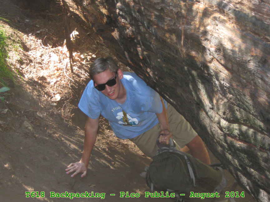 Picture 0025