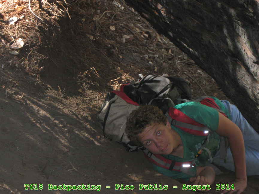 Picture 0026