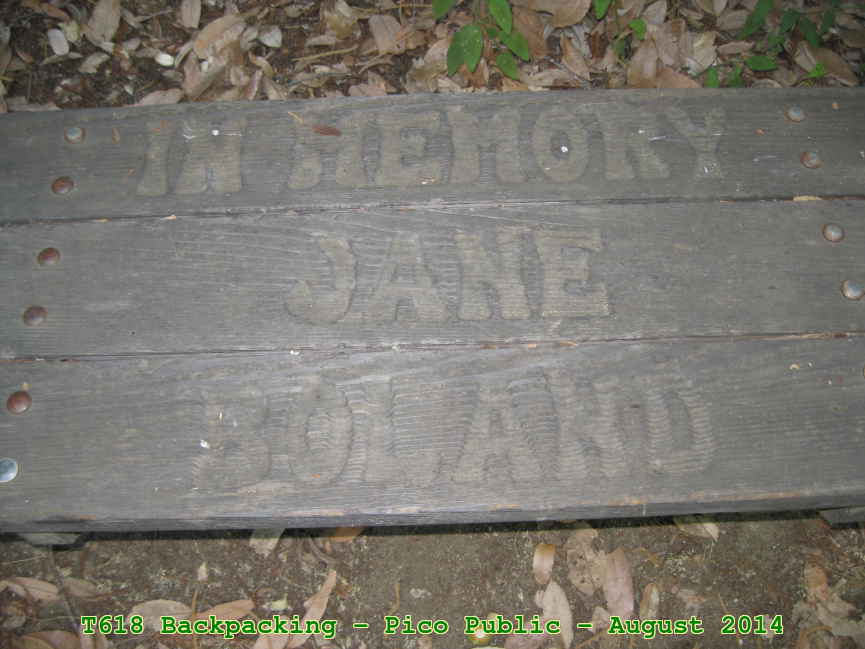 Picture 0028