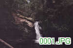 Picture 0001