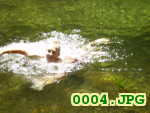 Picture 0004