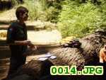 Picture 0014