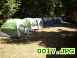 Picture 0017