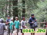 Picture 0045