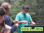 Picture 0061