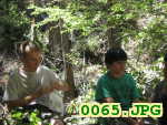 Picture 0065