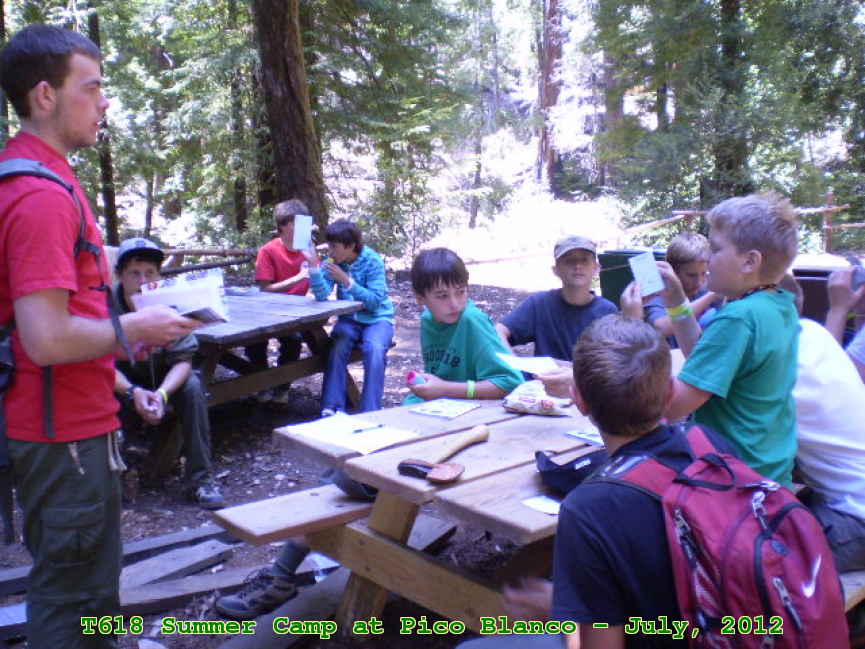 Picture 0011