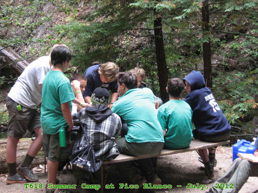 Picture 0050