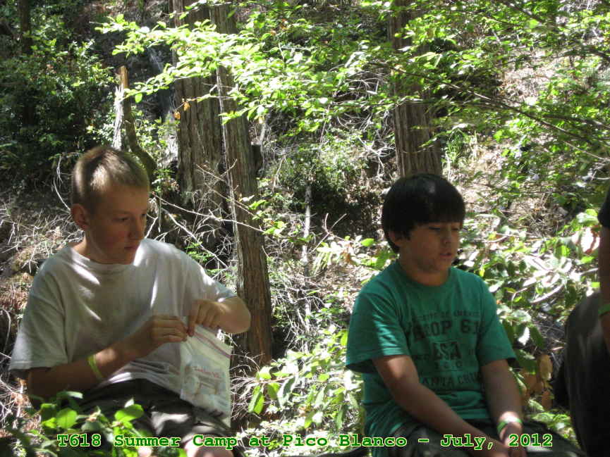 Picture 0065