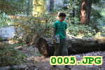 Picture 0005