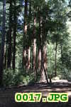 Picture 0017