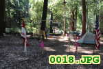 Picture 0018