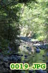 Picture 0019