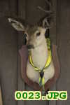 Picture 0023