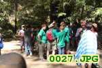 Picture 0027