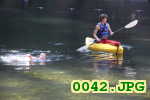 Picture 0042