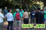 Picture 0047