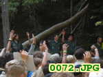 Picture 0072
