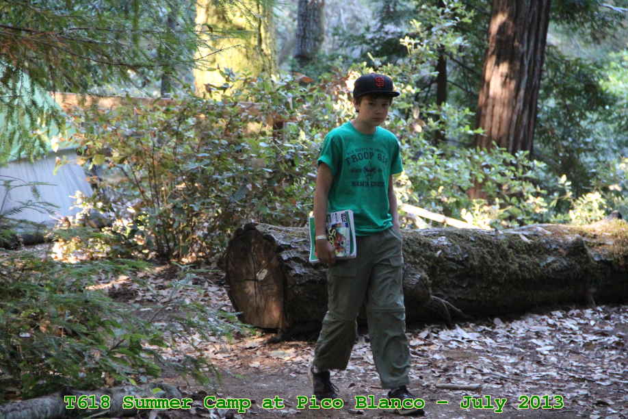 Picture 0005